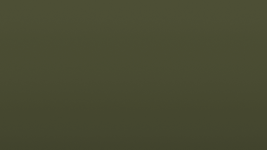 Cancelli colore verde Cancelli colore verde